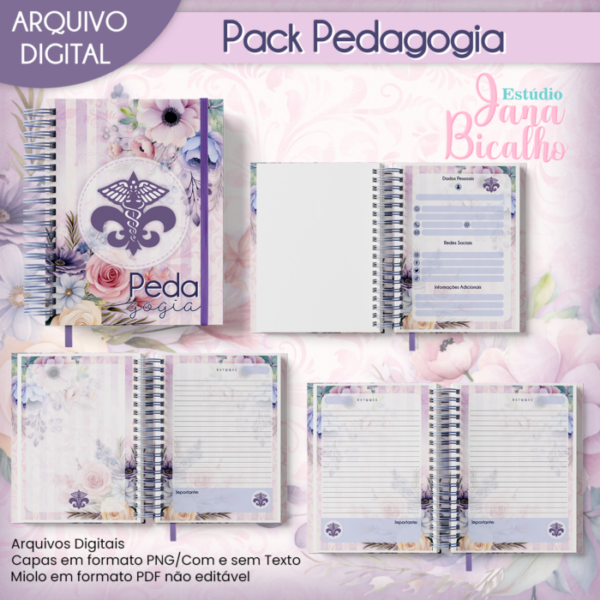 Pack Profissões Pedagogia - Image 2