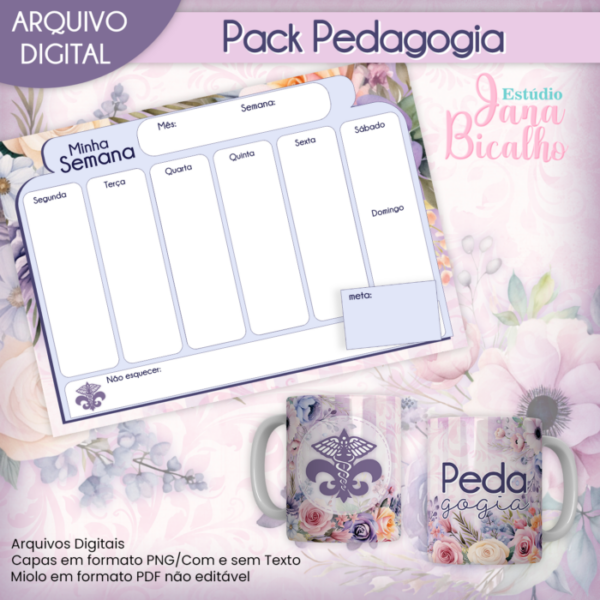 Pack Profissões Pedagogia - Image 4