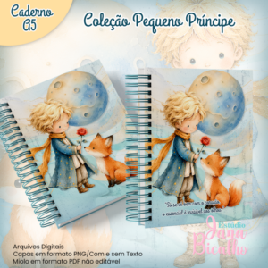 Caderno A5 Logins e Senhas Coleção Pequeno Príncipe